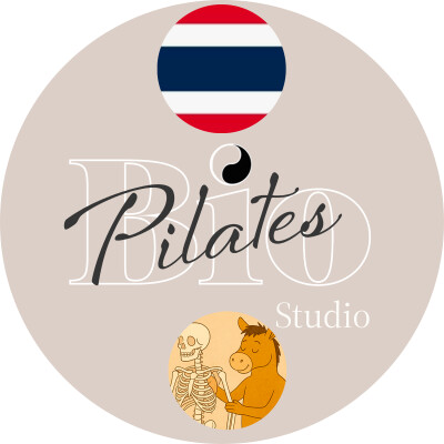 🇹🇭 🐎 สมดุลสรีระและอาชา: ศาสตร์แห่งการจัดวางแนวกระดูกคอ - Cervicale Spine cover