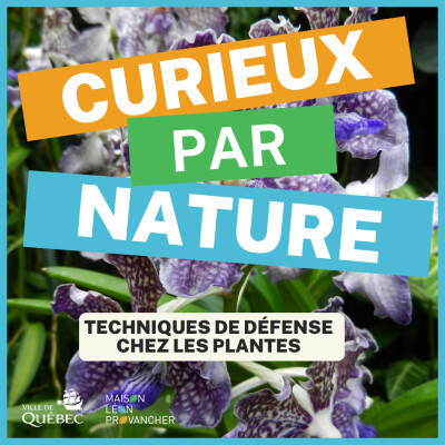 Curieux par Nature: techniques de défense chez les plantes cover