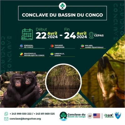 “Conclave du Bassin du Congo”, préserver le patrimoine naturel et maintenir l'équilibre écologique cover