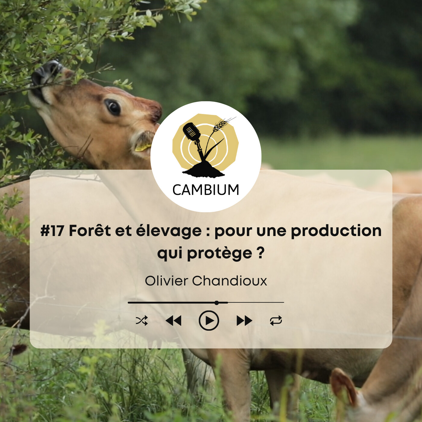 #17 - Forêt et élevage : pour une production qui protège ? episode artwork