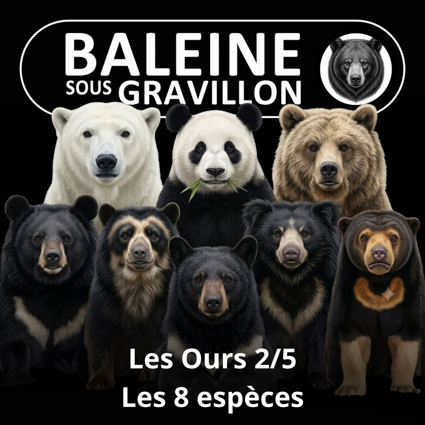 S05E23 Les Ours 2/5 : L'album de famille des 8 espèces (Rémy Marion) episode artwork