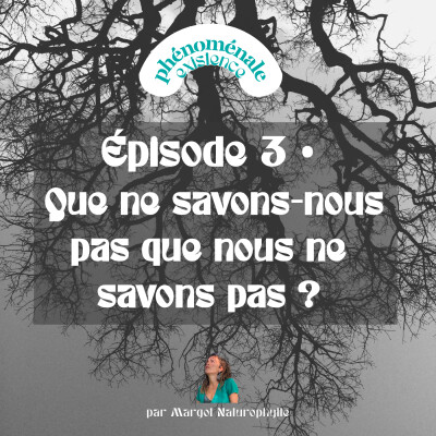 🎙️ Épisode 3 • Que ne savons-nous pas que nous ne savons pas ? cover