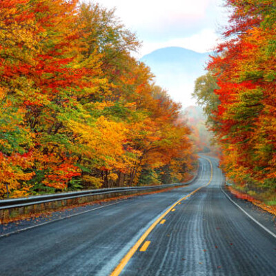 Pourquoi l'automne est si particulier ? cover