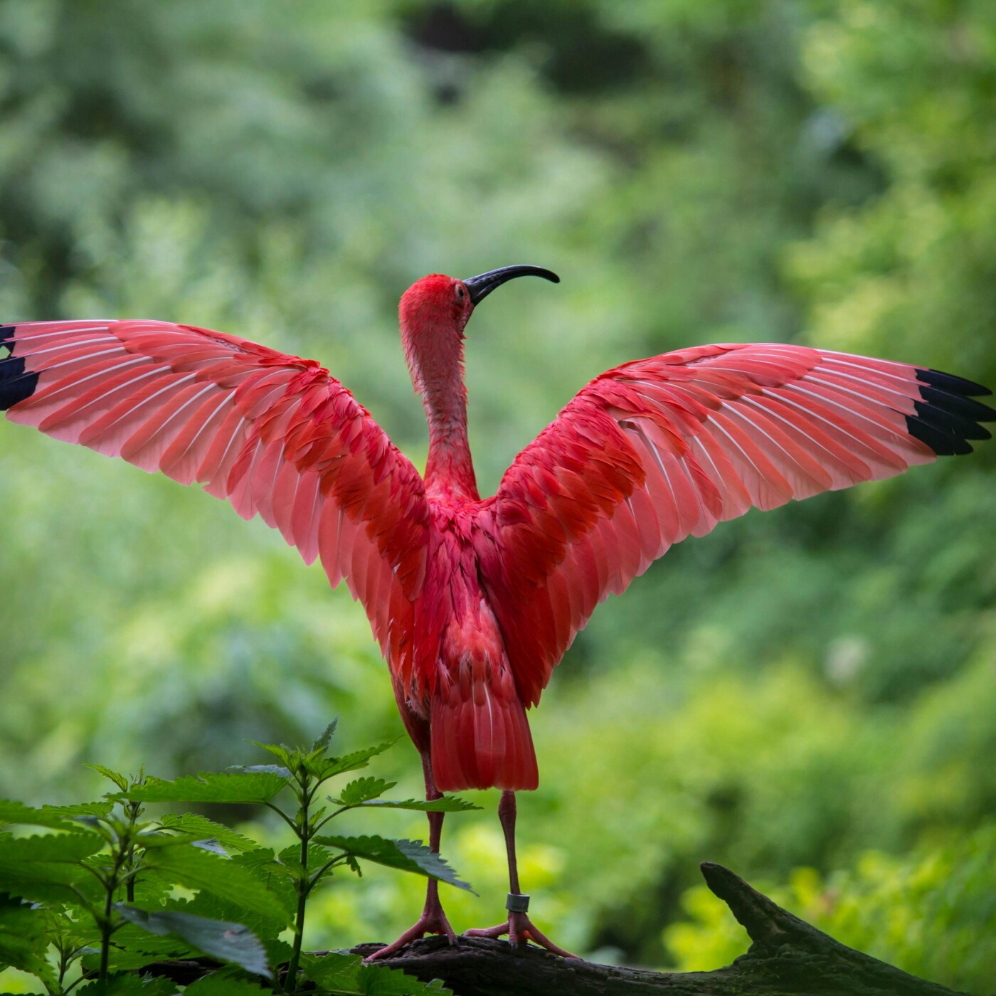 Taxons la richesse intérieure !