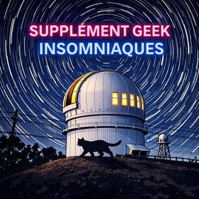 Insomniaques : quand la nuit devient un refuge (manga + animé) cover