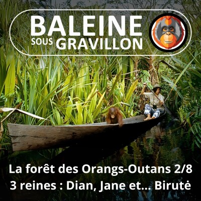 S07E114 Les Orangs-Outans 2/8 : La troisième reine (Emmanuelle Grundmann) cover