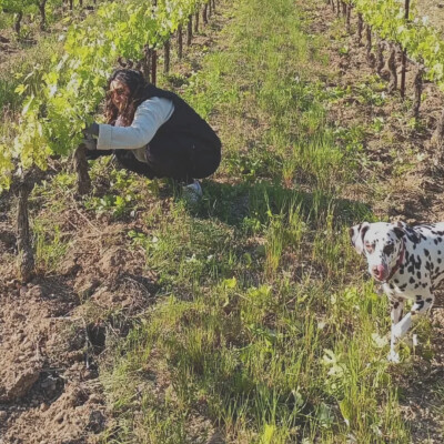 Exclu : la place des femmes dans la viticulture selon Lisa, agricultrice cover