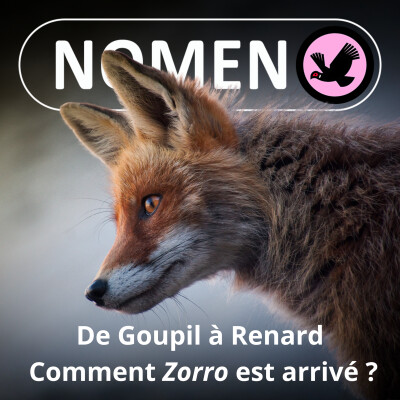 S01E01 Du Goupil au Renard : comment Zorro est arrivé ? cover