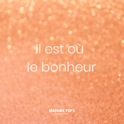 Il est où le bonheur cover