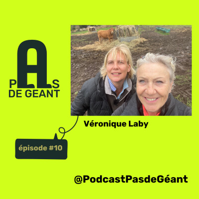 Pas de Géant #épisode 10 cover