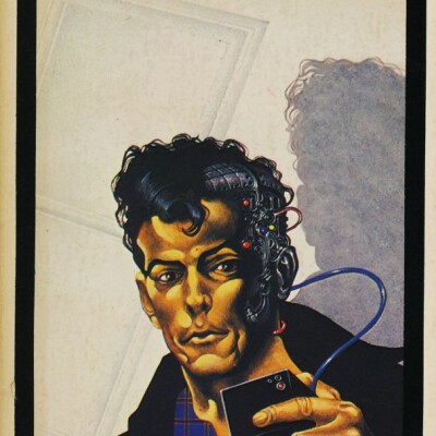 Sense of Wonder : Le Vaisseau Flamme de Joan D.Vinge (1978) cover