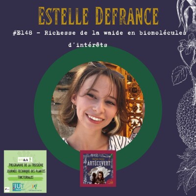 Estelle Defrance - Richesse de la waide en biomolécules d'intérêts cover