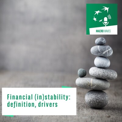 #01 – Financial (in)stability: definition, drivers cover
