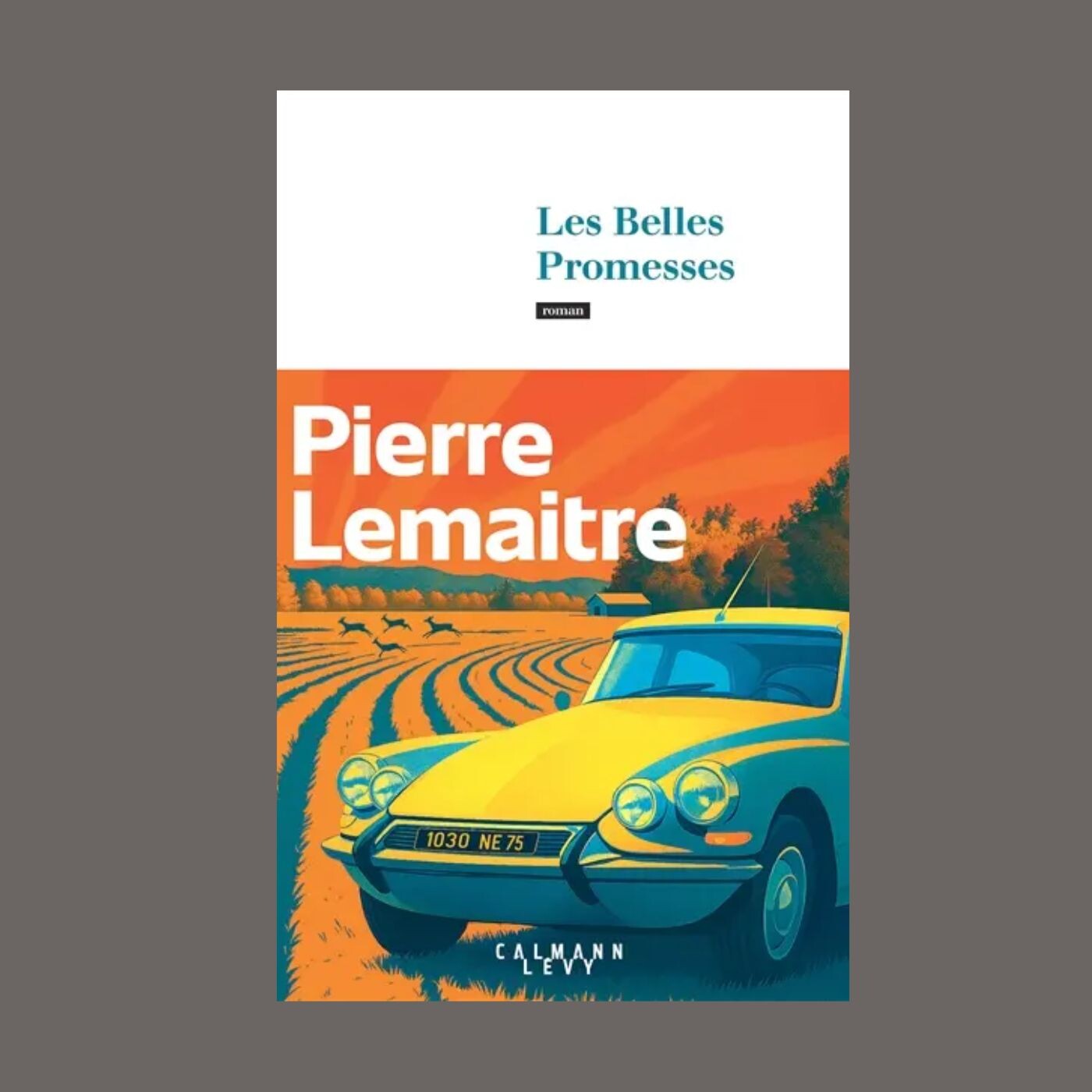 Pierre Lemaitre - Les belles promesses