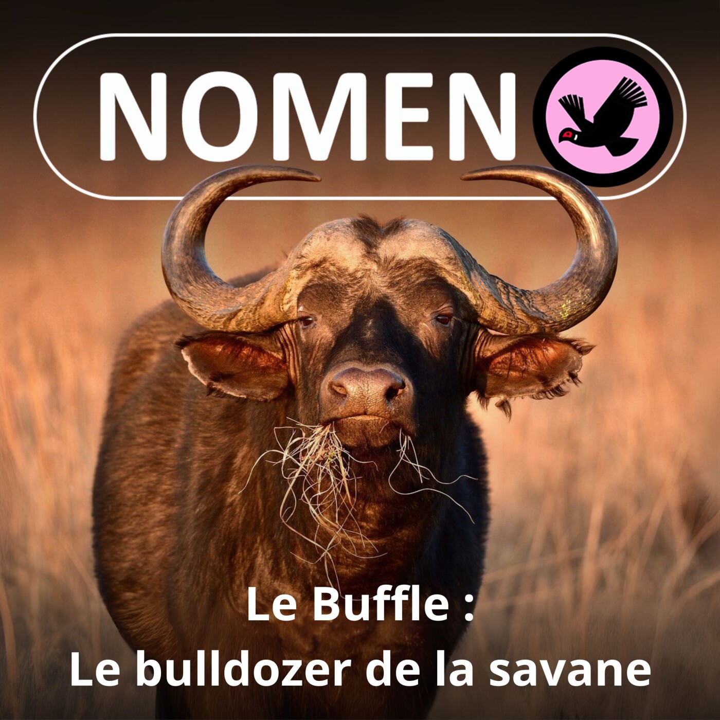 Nomen