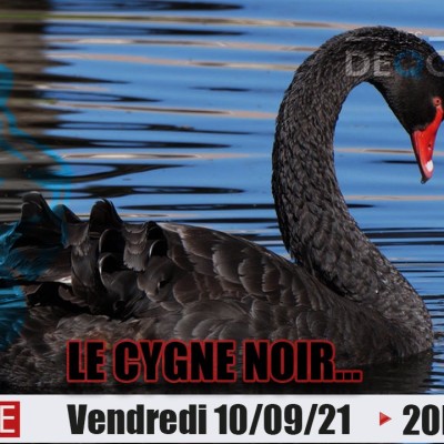 Le Cygne Noir... - 10/09/21 cover