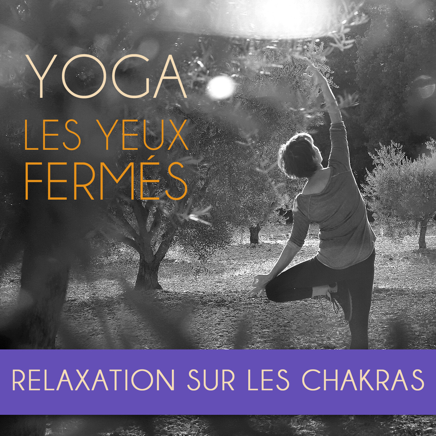 E55 Yoga : Relaxation sur les chakras episode artwork