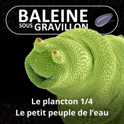 S02E03 Le Plancton, "petit peuple de l'eau" 1/4 : inconnu mais essentiel (Pierre Mollo) cover