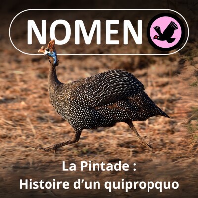 S03E26 De la Pintade à la Turquie en passant par la Dinde... qui n'est pas d'Inde ! cover