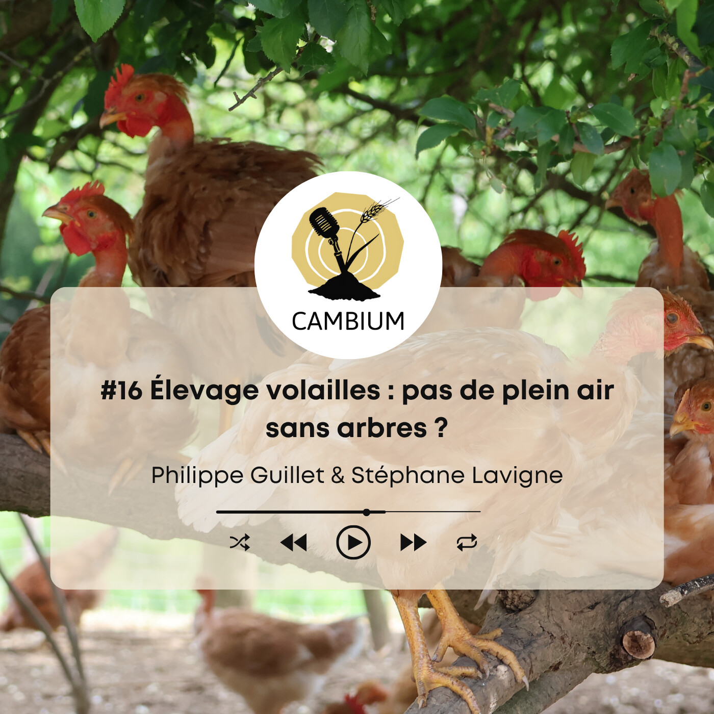 CAMBIUM, le podcast de l\'agroforesterie