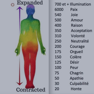 #3 - Le taux vibratoire : ton niveau de bien/mal-être en temps réel cover