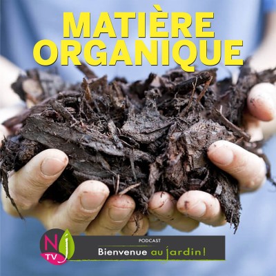 PAROLES D'EXPERTS: LA MATIÈRE ORGANIQUE UNE RESSOURCE PRÉCIEUSE cover