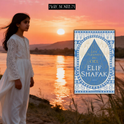 Elif Shafak - Les fleuves du ciel cover