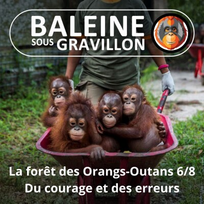 S07E118 Les Orangs-Outans 6/8 : Le courage... et les erreurs de Birutė (Emmanuelle Grundmann) cover