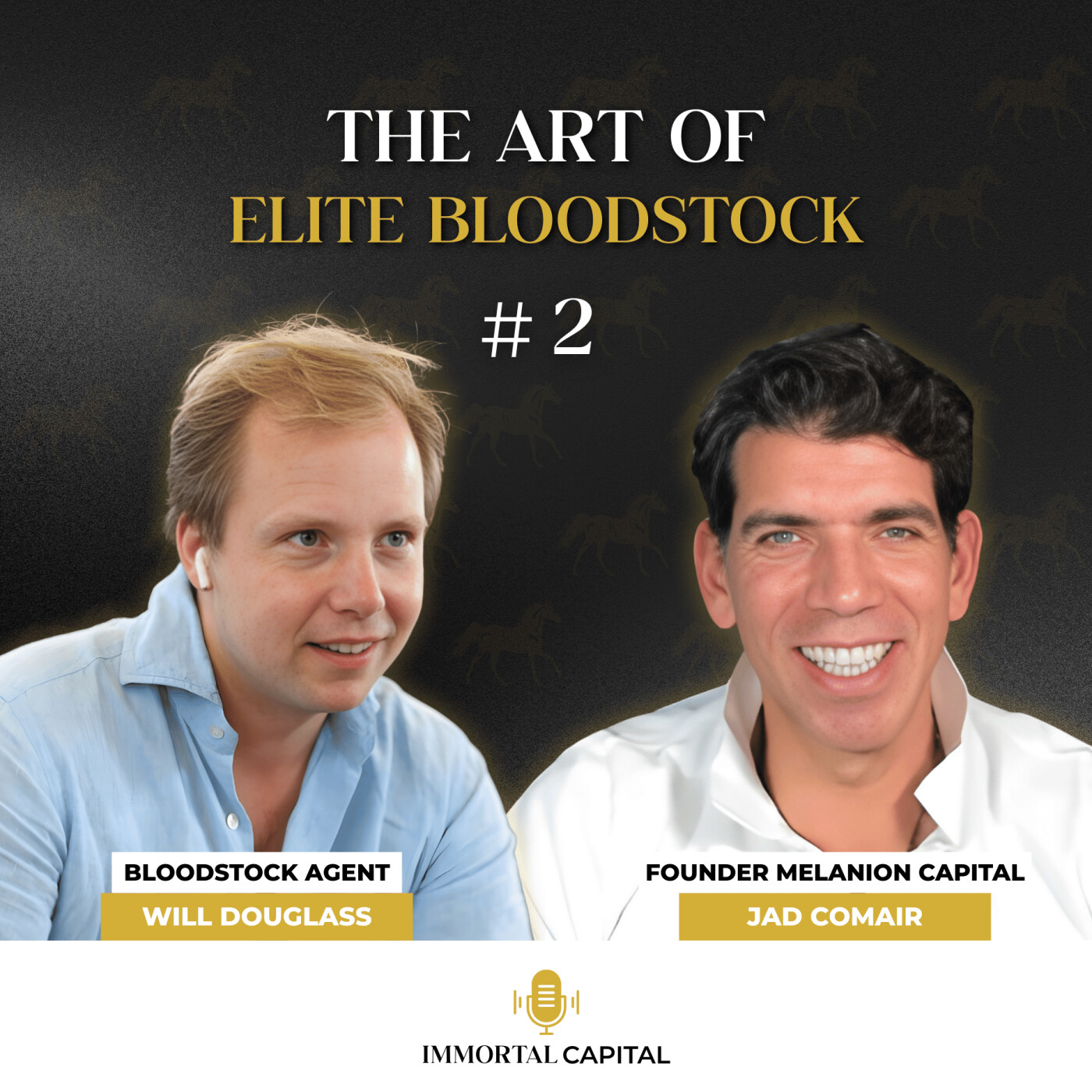 Will Douglass on where value lives: the art of elite bloodstock
