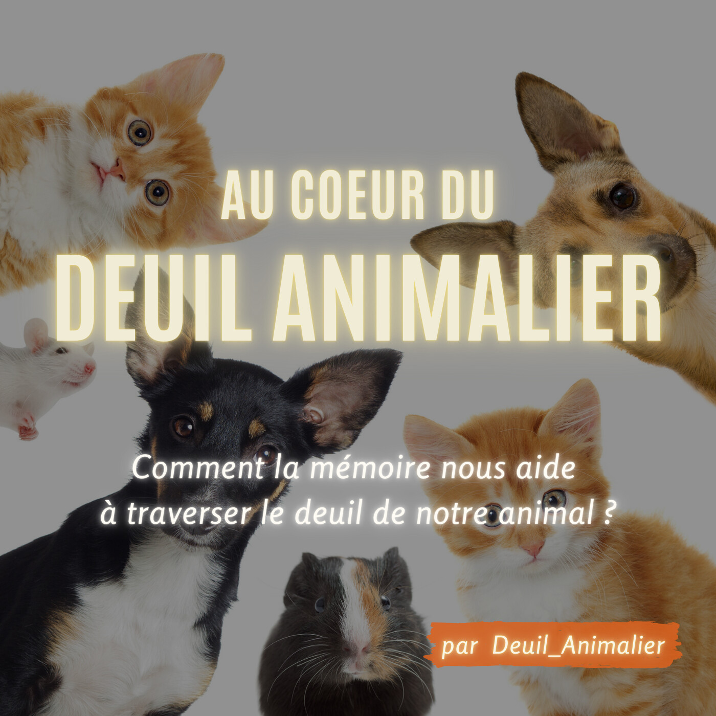 Au cœur du deuil animalier