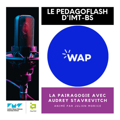 #11 - La pairagogie avec Audrey Stavrevitch cover