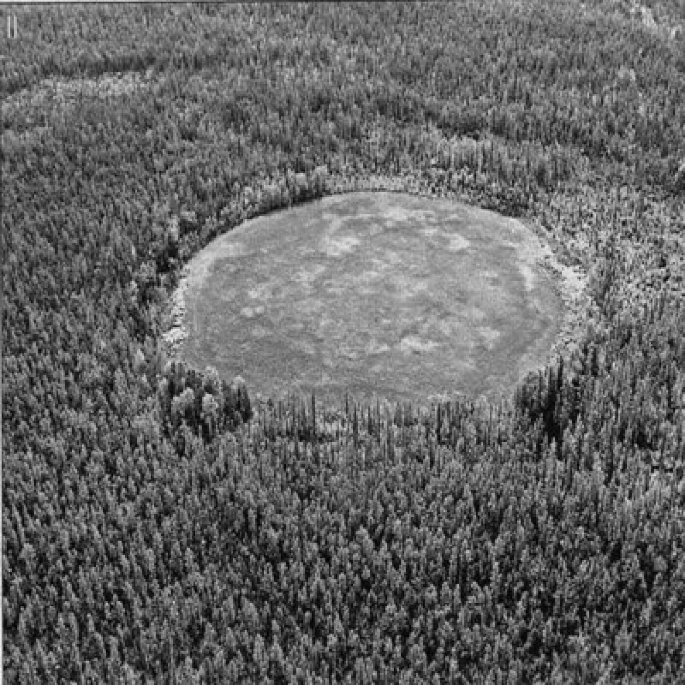 Les Histoires Vraies Méconnues – HVM