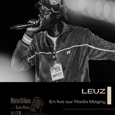 MicroSillons #28 - LEUZ (2025-05-06) cover