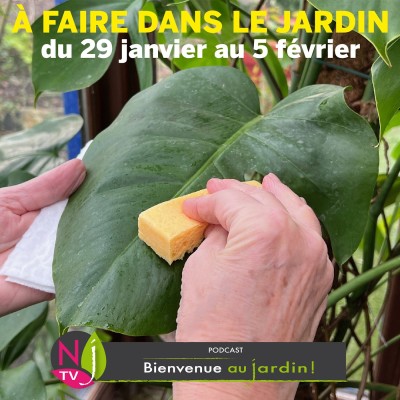 QUE FAIRE DANS LE JARDIN DU 29 JANVIER AU 5 FÉVRIER ? cover