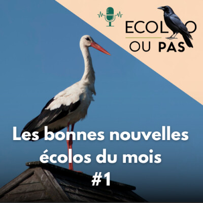 Les bonnes nouvelles écolo du mois #1 cover