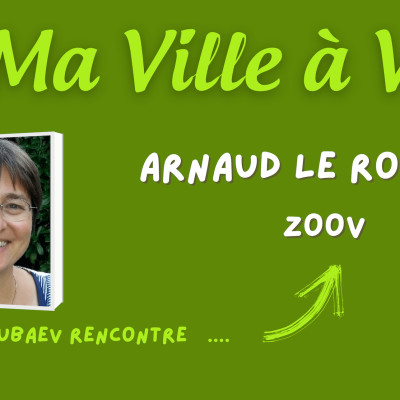 Arnaud Le Rodallec - Zoov cover