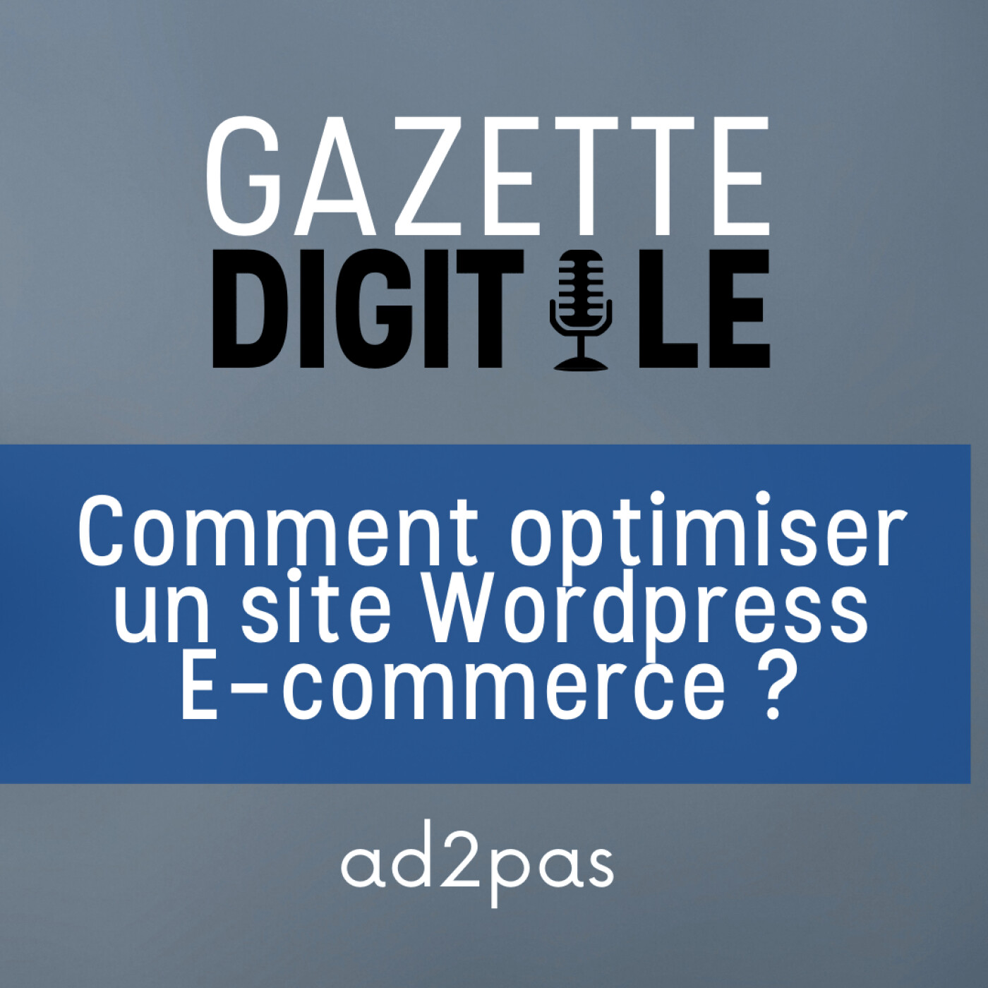 Comment Optimiser un Site E-commerce Wordpress ?