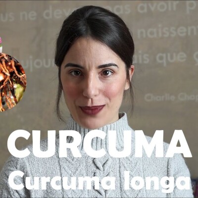 L'huile essentielle de Curcuma stimulant digestif qui combat la colère et le pessimisme ! cover