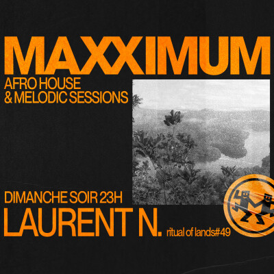MAXXIMUM DJ'S : LAURENT N. cover