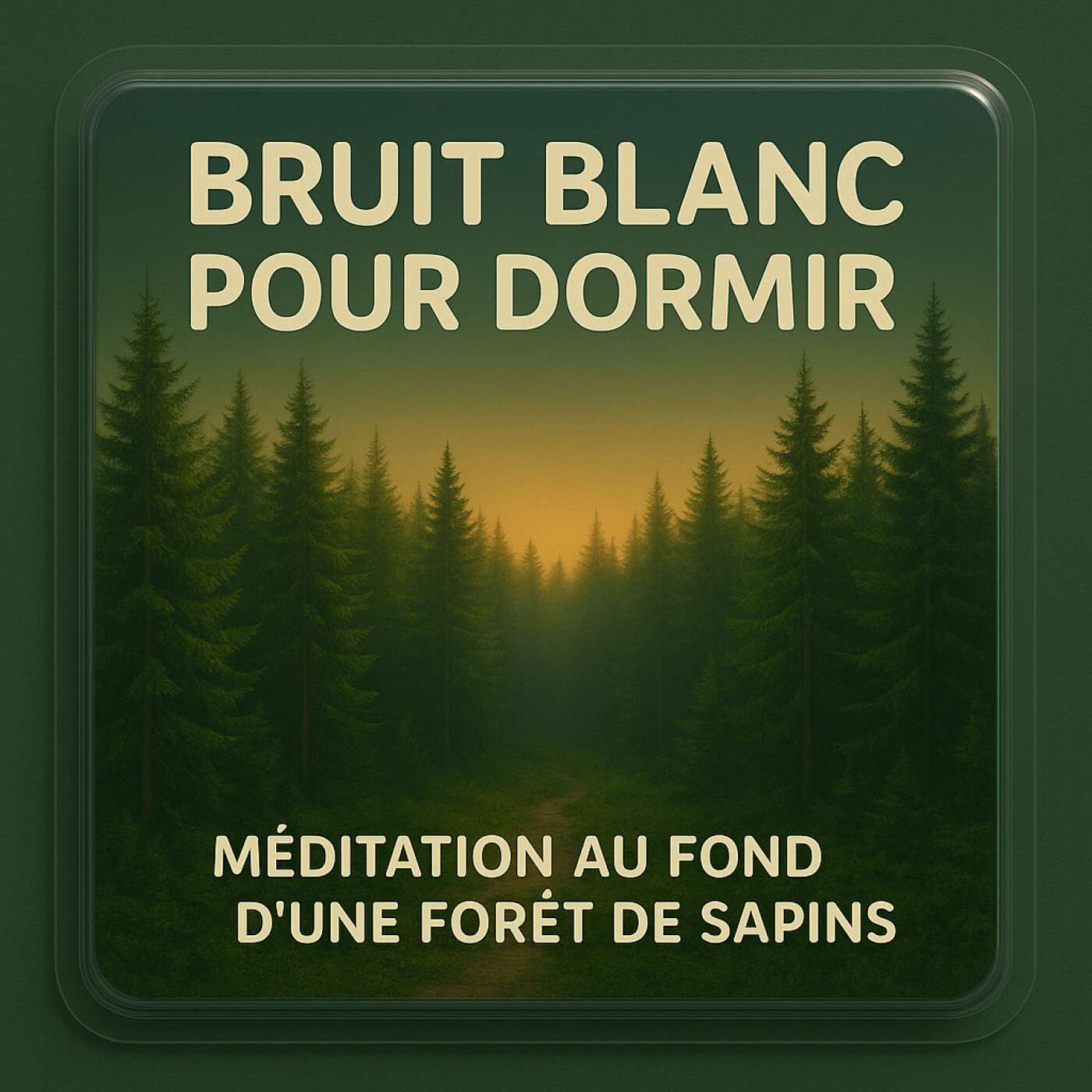 1 Heure BRUIT BLANC pour Dormir 🏕️ Hypnose au cœur d'une foret de sapins | Votre santé mentale avant tout ASMR
