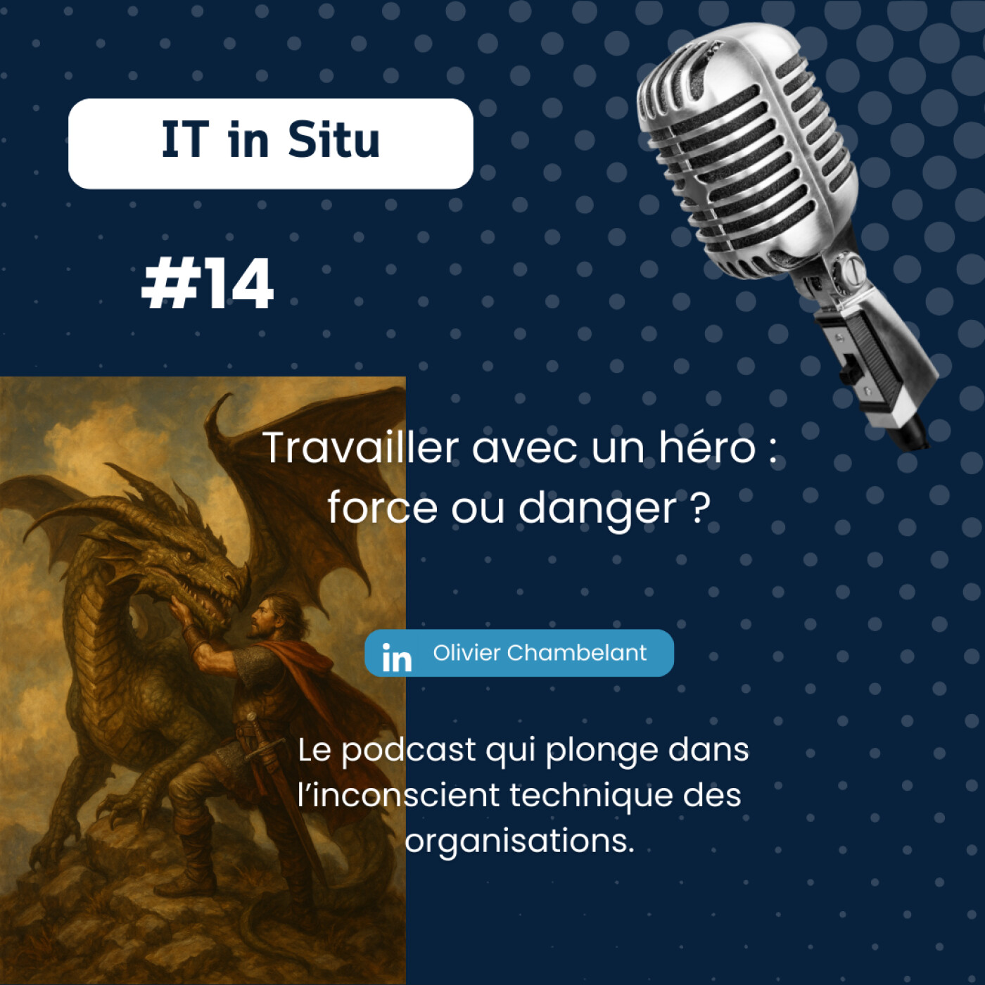 IT in Situ – Plongée dans l\'inconscient technique des organisations