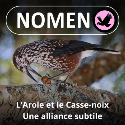 S01E16 L'Arole : L'extraordinaire mais fragile alliance avec l’oiseau Casse-noix cover