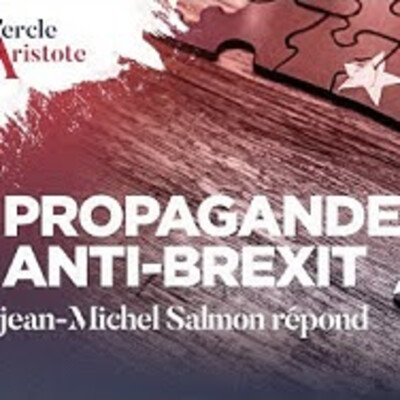 France 5 désinforme sur le Brexit - J.M. Salmon - # politique cover