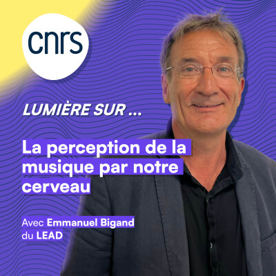 Lumière sur... la perception de la musique par notre cerveau cover