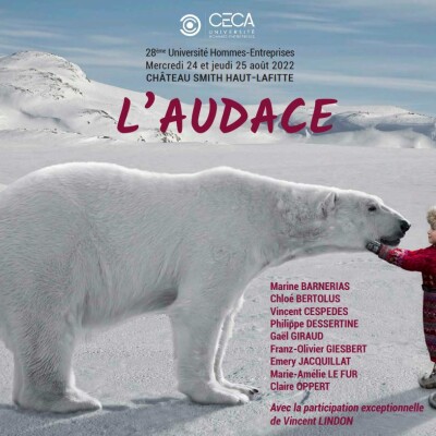 L'audace au service de l'entreprise et de son environement cover