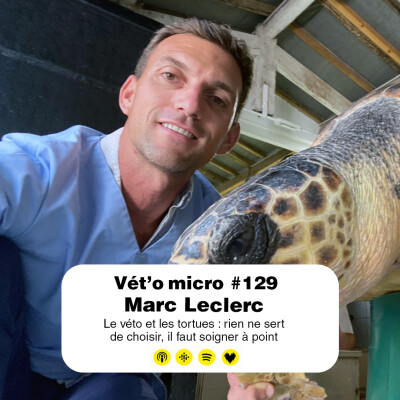 Épisode #129 - Marc Leclerc : Le véto et les tortues : rien ne sert de choisir, il faut soigner à point cover