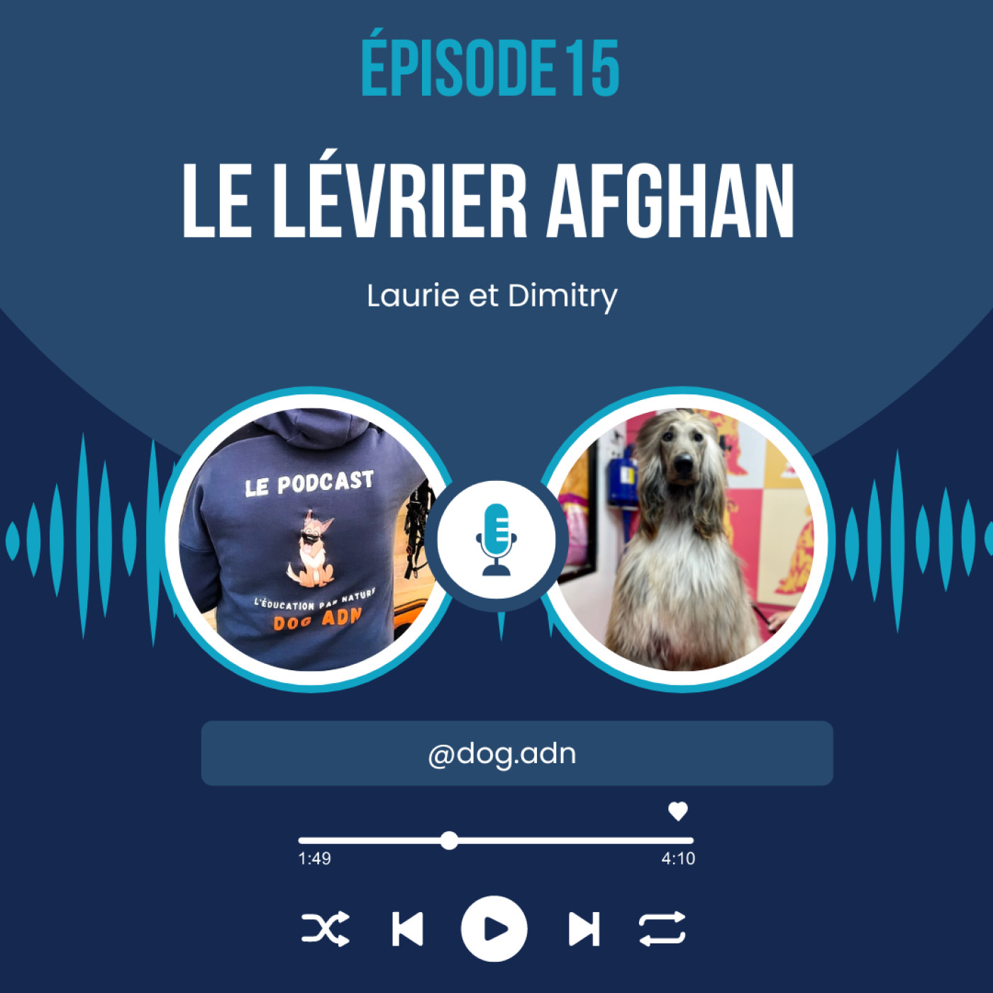 #15 Le lévrier Afghan et le métier de toiletteuse episode artwork