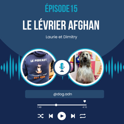 #15 Le lévrier Afghan et le métier de toiletteuse cover