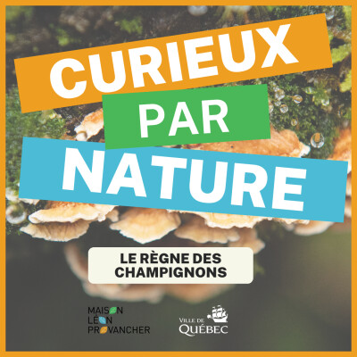 Curieux par Nature: Le règne des champignons cover