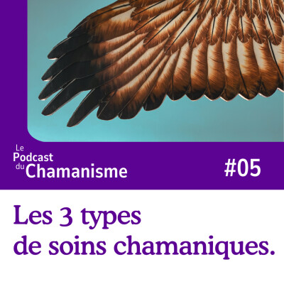 #05_Les 3 types de soins chamaniques. cover